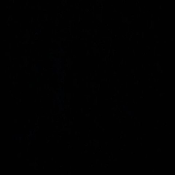 Meet your Posher, Mathis - Picture 1 of 1